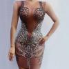 Transparent Silver Sequins and Rhinestones Dress
