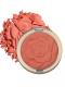 4 Colors Rose Powder highlighter