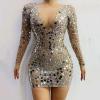 Shiny Sequin Dress