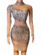 Black & nude color rhinestone mesh dress