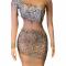 Black & nude color rhinestone mesh dress