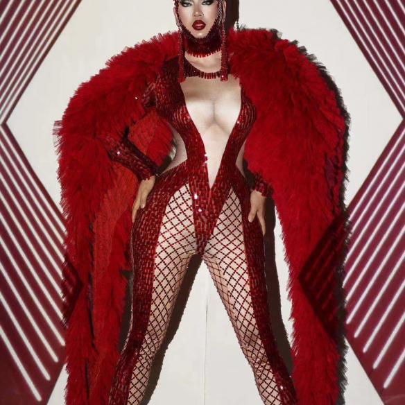 Red Mesh Bodysuit （include headdress）