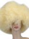 Colorful Rainbow Pride Afro Wig