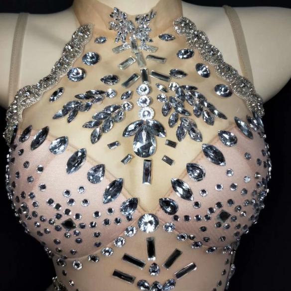 See Through Slip Leotard