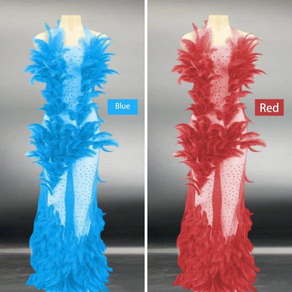 Various Colors Rhinestone Feather Long Dress