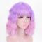 Pink & Purple Mix Drag Wig