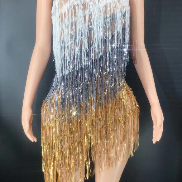 Silver tassel leotard