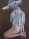 Silver Tassel Fringe Leotard