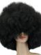 Colorful Rainbow Pride Afro Wig