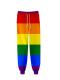 Gay Pride Rainbow Flag Jogger Pants