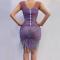 Pruple Rhinestone Dress