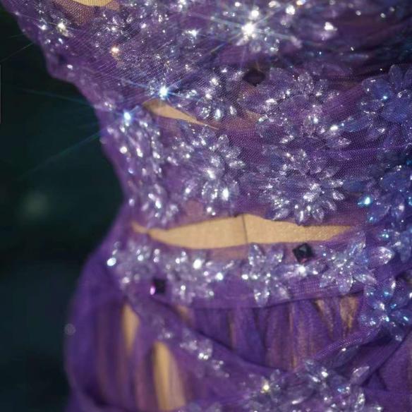 Purple Mesh Dress