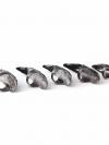Rhinestone Claw Nail Rings (Set Of 10)