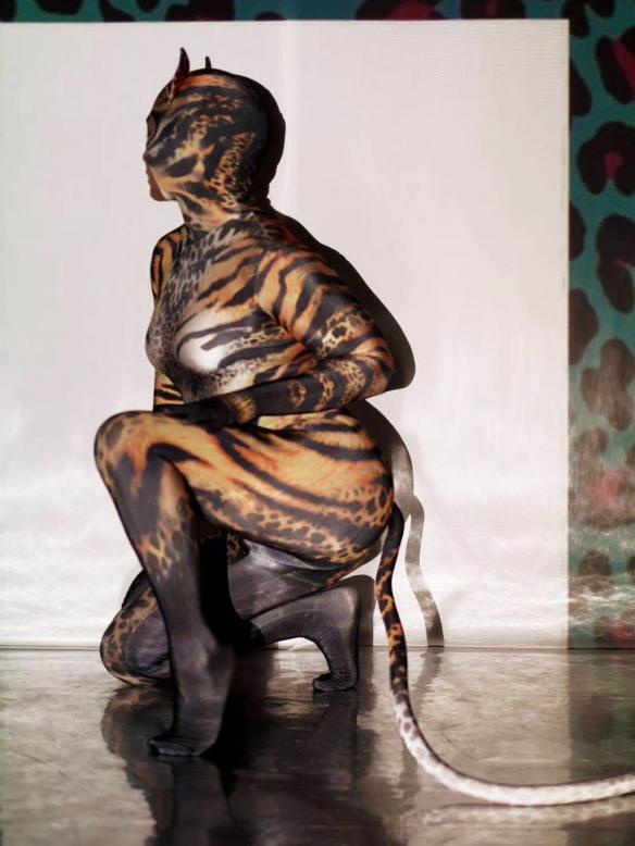 Cat Pattern Bodysuit