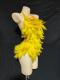 Yellow feather & rhinestone leotard