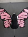 Pink Butterfly Wings