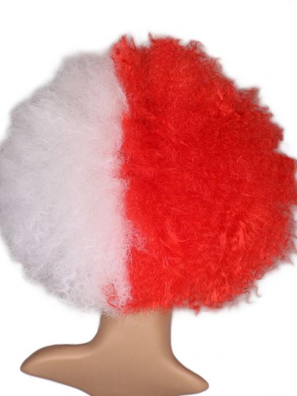 Colorful Rainbow Pride Afro Wig