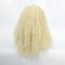 Blonde Wave Lace Front Wig