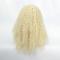 Blonde Wave Lace Front Wig