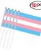 10 pcs Pride Flag