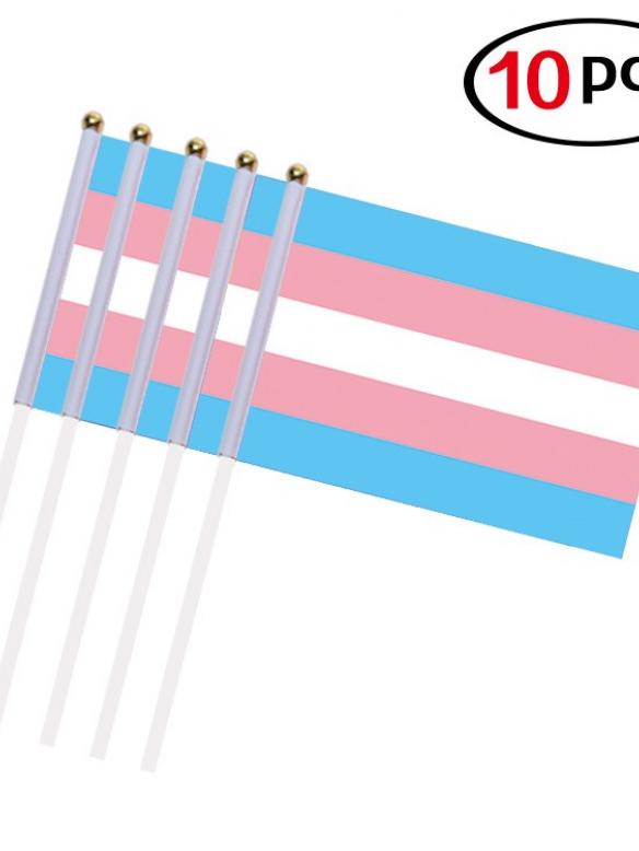 10 pcs Pride Flag