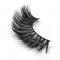 RayWigs-3D Lashes JM13