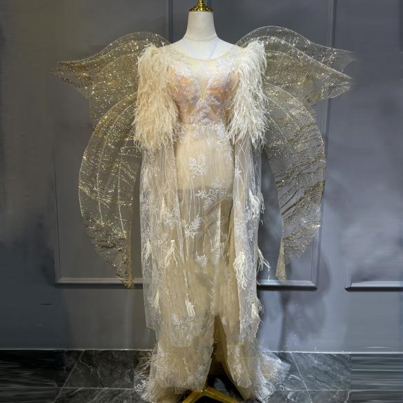 Full set of butterfly dress (include wings)