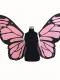 Pink Butterfly Wings