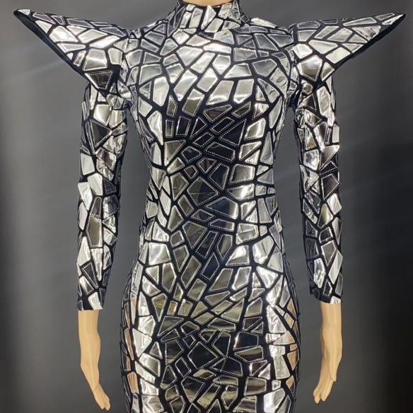 Sliver Glossy Dress