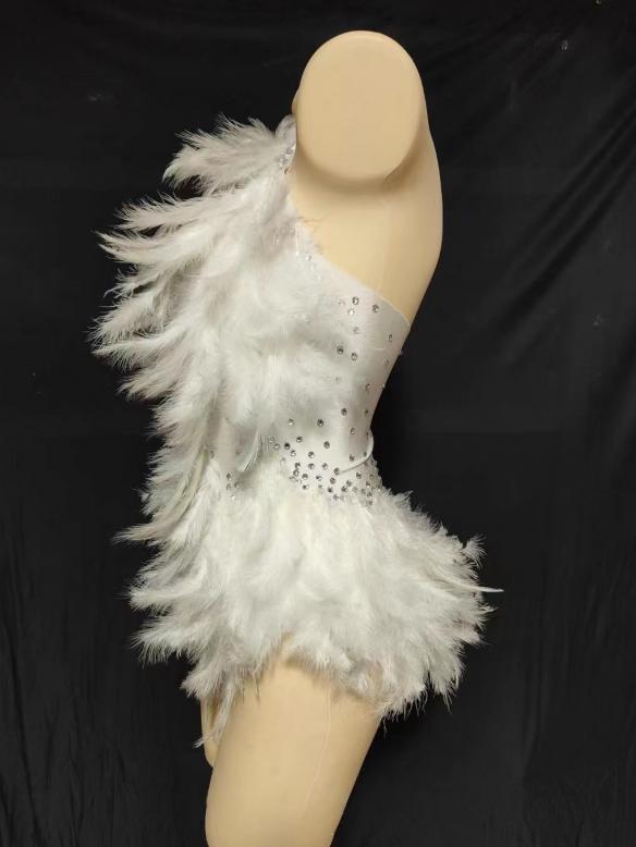 Various colors feather leotard