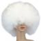 Colorful Rainbow Pride Afro Wig