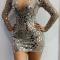 V Shape Sequin Dress