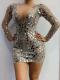 V Shape Sequin Dress