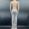 Silver Sequin Transparent Sleeveless Dress