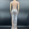 Silver Sequin Transparent Sleeveless Dress