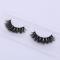 RayWigs-3D Queen Lashes D108