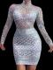 White Sliver Rhinestone Dress