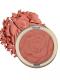 4 Colors Rose Powder highlighter