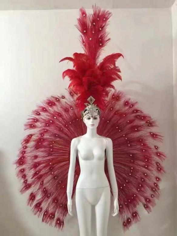 Red Ostrich Feather Wing