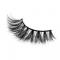 RayWigs-3D Lashes JM19