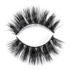 RayWigs-3D Lashes JM14