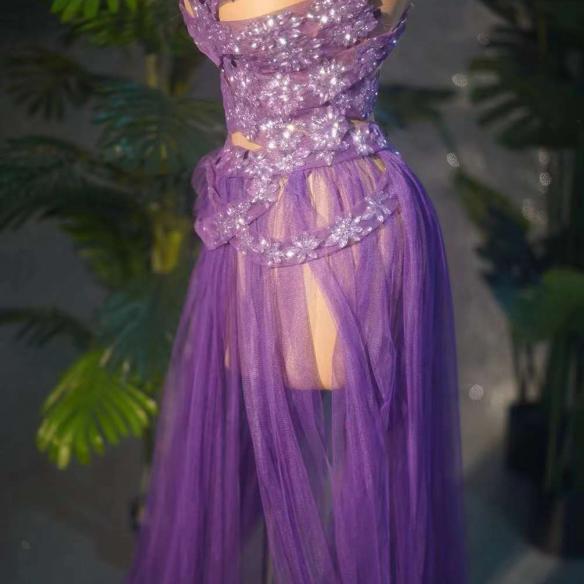 Purple Mesh Dress
