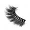 RayWigs-3D Lashes JM23B