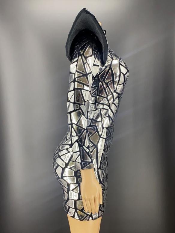 Sliver Glossy Dress