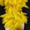 Yellow feather & rhinestone leotard