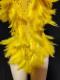 Yellow feather & rhinestone leotard