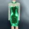 Green Shiny Sequin Transparent Dress