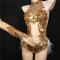 Golden Nude Crystallized Feather Leotard