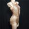 Gold Nude Rhinestones Leotard