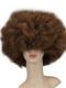 Colorful Rainbow Pride Afro Wig